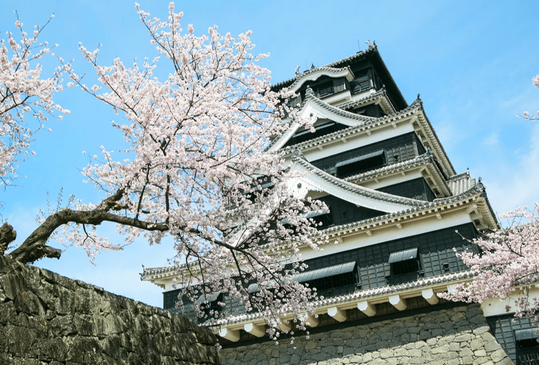 九州賞櫻｜4. 熊本城（熊本）